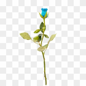 Transparent Background Overlay Flower Transparent Png, Png Download - blue rose png