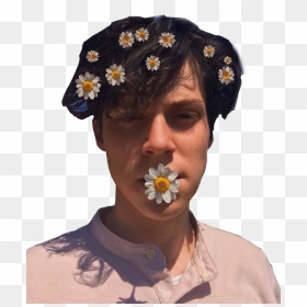 #jeyjeygardi #aesthetic #flower #flowers #png #freetoedit - Jeyjey Gardi, Transparent Png - flowers.png