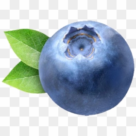 Blueberry Png Clipart - Blueberry Png, Transparent Png - blueberries png