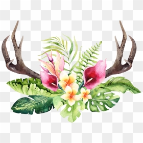 Transparent Floral Antler Clipart - Tropical Flower Transparent Background, HD Png Download - flowers.png