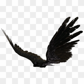 Dark Angel Wings Png - Angel Wings Black Png, Transparent Png - black wings png