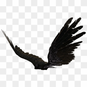 Side View Angel Wings Png, Transparent Png - vhv