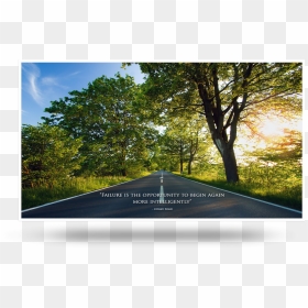 Road Tree Backgrounds Hd, HD Png Download - straight road png