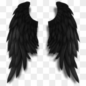Darkangel Angelwings Angels Angel Wings Feathers Fly - Angel Black Wings Png, Transparent Png - black wings png
