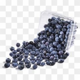 Blueberries Png Image Background - Transparent Background Bowl Of Blueberries Png, Png Download - blueberries png