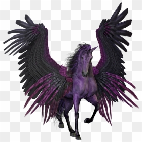 Transparent Pegasus Png - Flying Horse Hd Sketch, Png Download - black wings png