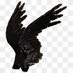 Black Angel Wings Side View , Png Download - Side View Wings Png, Transparent Png - black wings png