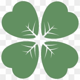 Fourleaf - Shamrock, HD Png Download - 4 leaf clover png