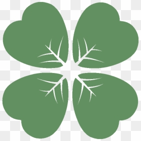 Fourleaf - Shamrock, HD Png Download - 4 leaf clover png