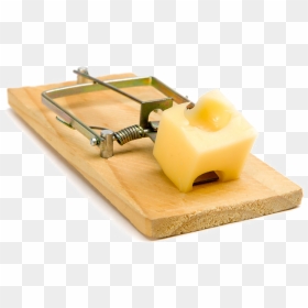 Rat Trap Png Image - Don T Fall Into The Trap, Transparent Png - trap png