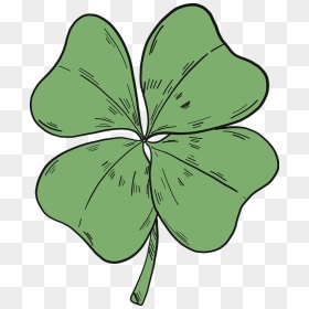 Gilliflower, HD Png Download - 4 leaf clover png