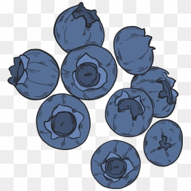 Blueberries Clipart - Blueberry, HD Png Download - blueberries png