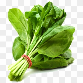 Spinach Png Free Download - Penis Enlargement Herbal Food, Transparent Png - spinach png
