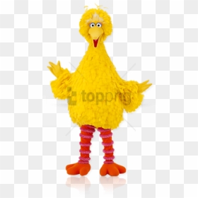 Yellow Bird Face Template Sesame Street Characters - Sesame Street Big ...