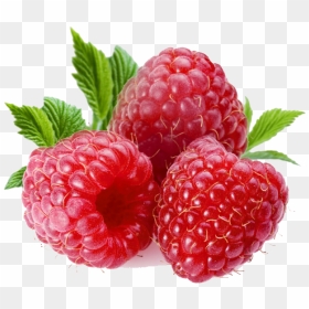 Raspberry In Tamil, HD Png Download - raspberry png