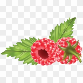 Rraspberry Png Image - Raspberries Clipart Png, Transparent Png - raspberry png