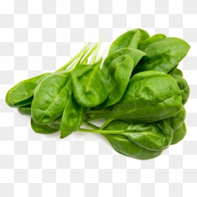 Spinach Png Free Image - Spinach Png, Transparent Png - spinach png