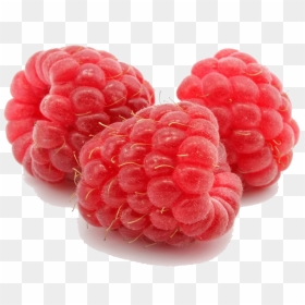 Raspberry Png File - Raspberry Png, Transparent Png - raspberry png