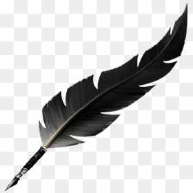 Feather Vector Png, Transparent Png - feather vector png