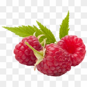 Raspberry Transparent Png Image - Raspberry Png, Png Download - raspberry png