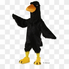 Black Big Bird , Png Download - Raven Mascot Costume, Transparent Png - big bird png