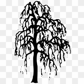 Willow Drawing Dark - Willow Tree Silhouette Png, Transparent Png - tree branch silhouette png