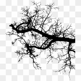 Freetoedit Tree Branch Silhouette 4trueartists Element - Siluetas De Ramas Png, Transparent Png - tree branch silhouette png