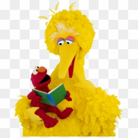 Elmo And Dad Reading Elmo Reading With His Dad, As - Big Bird Reading A Book, HD Png Download - big bird png