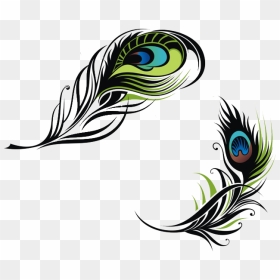 Bird Feather Peafowl Euclidean Vector - Vector Peacock Feather Png, Transparent Png - feather vector png