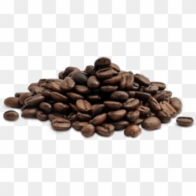 Coffee Beans Png Transparent Coffee Beans - Aloe Vera And Coffee, Png Download - coffee bean png