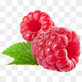 Raspberry Png Transparent Image - Raspberry Png, Png Download - raspberry png