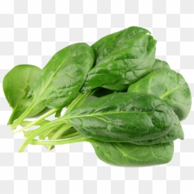 Spinach Png - Vegetable Png, Transparent Png - spinach png