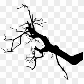 Clip Art Silhouette Portable Network Graphics Branch - Portable Network Graphics, HD Png Download - tree branch silhouette png