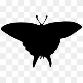 Swallowtail Butterfly, HD Png Download - butterfly silhouette png
