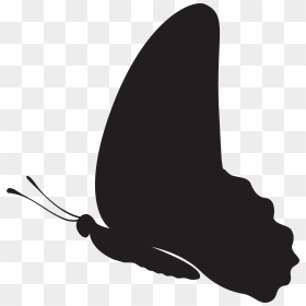 Black And White Design Silhouette Pattern, HD Png Download - butterfly silhouette png