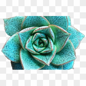 Flower Crown Clip Art Tumblr - Clip Art, HD Png Download - blue flower crown png