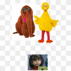 Muppet Wiki Behind The Scenes Sesame Street Episode - Big Bird Png, Transparent Png - big bird png
