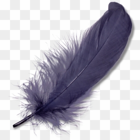 Purple Feather Clip Arts - Feather Png, Transparent Png - feather vector png