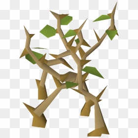 Old School Runescape Wiki - Craft, HD Png Download - jungle png