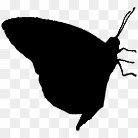 Portable Network Graphics, HD Png Download - butterfly silhouette png