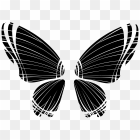 Butterfly Silhouette 10 Clip Arts - Butterfly Wings Png Transparent Background, Png Download - butterfly silhouette png