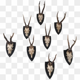 Deer Antler Png Graphic Black And White - Antler, Transparent Png - antler png