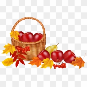 Basket With Fruits And Autumn Leaves Png Clipart Image - Transparent Background Fall Clipart, Png Download - thanksgiving leaves png