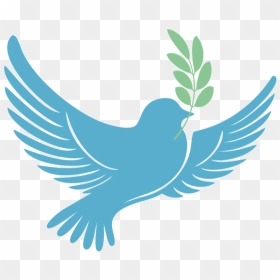 Dove Of Peace Png , Png Download - Transparent Dove Peace Png, Png Download - peace png