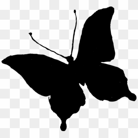 Clip Art Brush-footed Butterflies Silhouette Portable - Clip Art Butterfly Black, HD Png Download - butterfly silhouette png