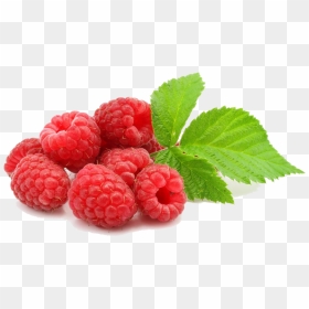 Raspberry Png Photo - Raspberry Png, Transparent Png - raspberry png