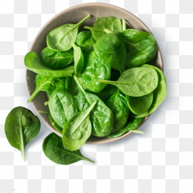 Spinach , Png Download - Spinach, Transparent Png - spinach png