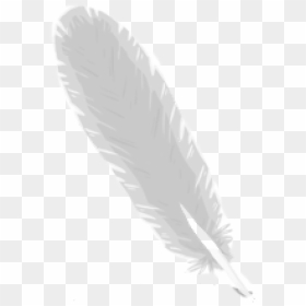 Feather Logo Png Image Download - Moths And Butterflies, Transparent Png - feather vector png
