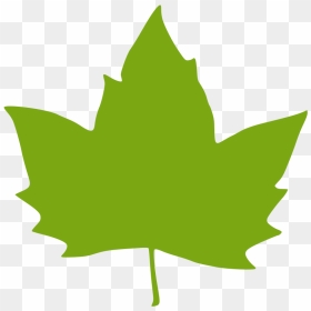 Leaf - Grape Leaf Clip Art, HD Png Download - thanksgiving leaves png