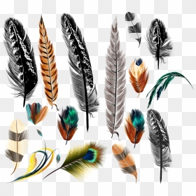 Bird Euclidean Vector Transprent - Realistic Feather Art, HD Png Download - feather vector png